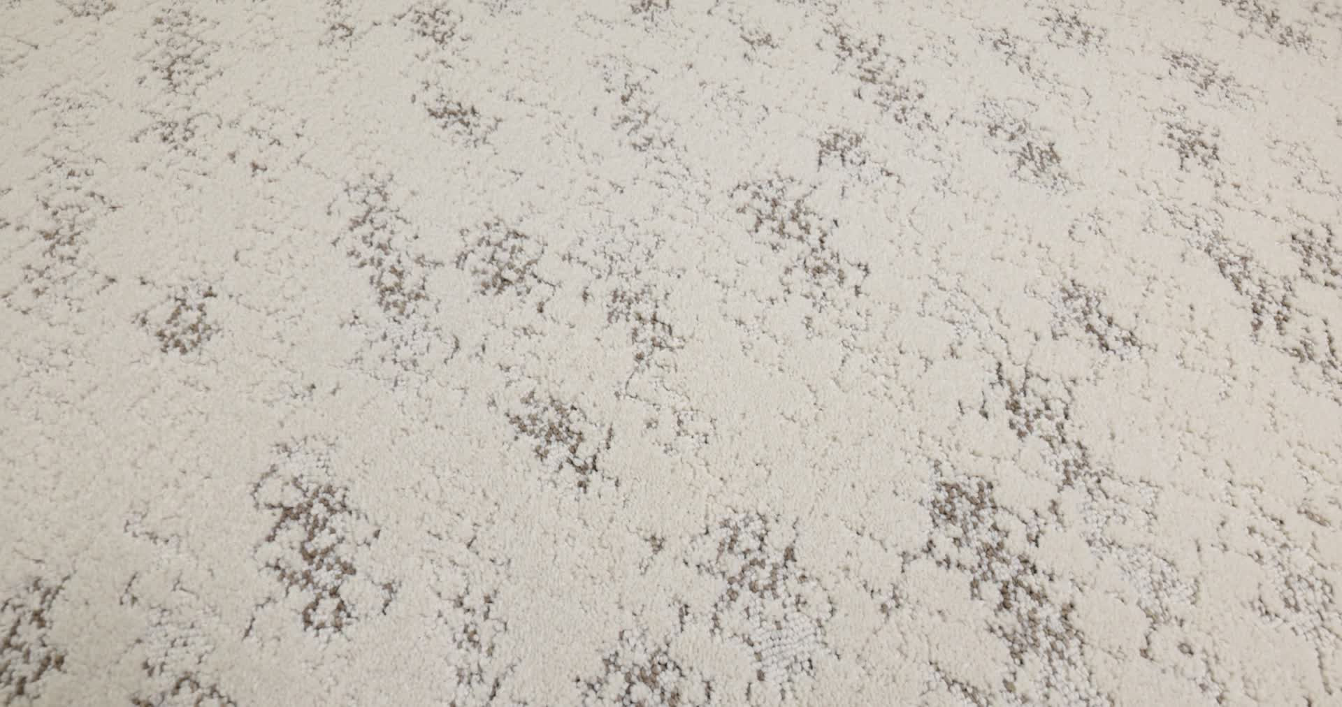 EVOKE CANVAS 360PROD