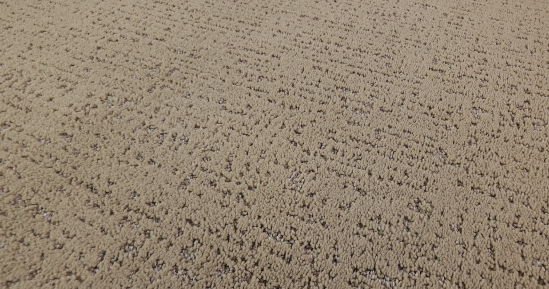 CURATED TONE OPEN CANYON 360PROD