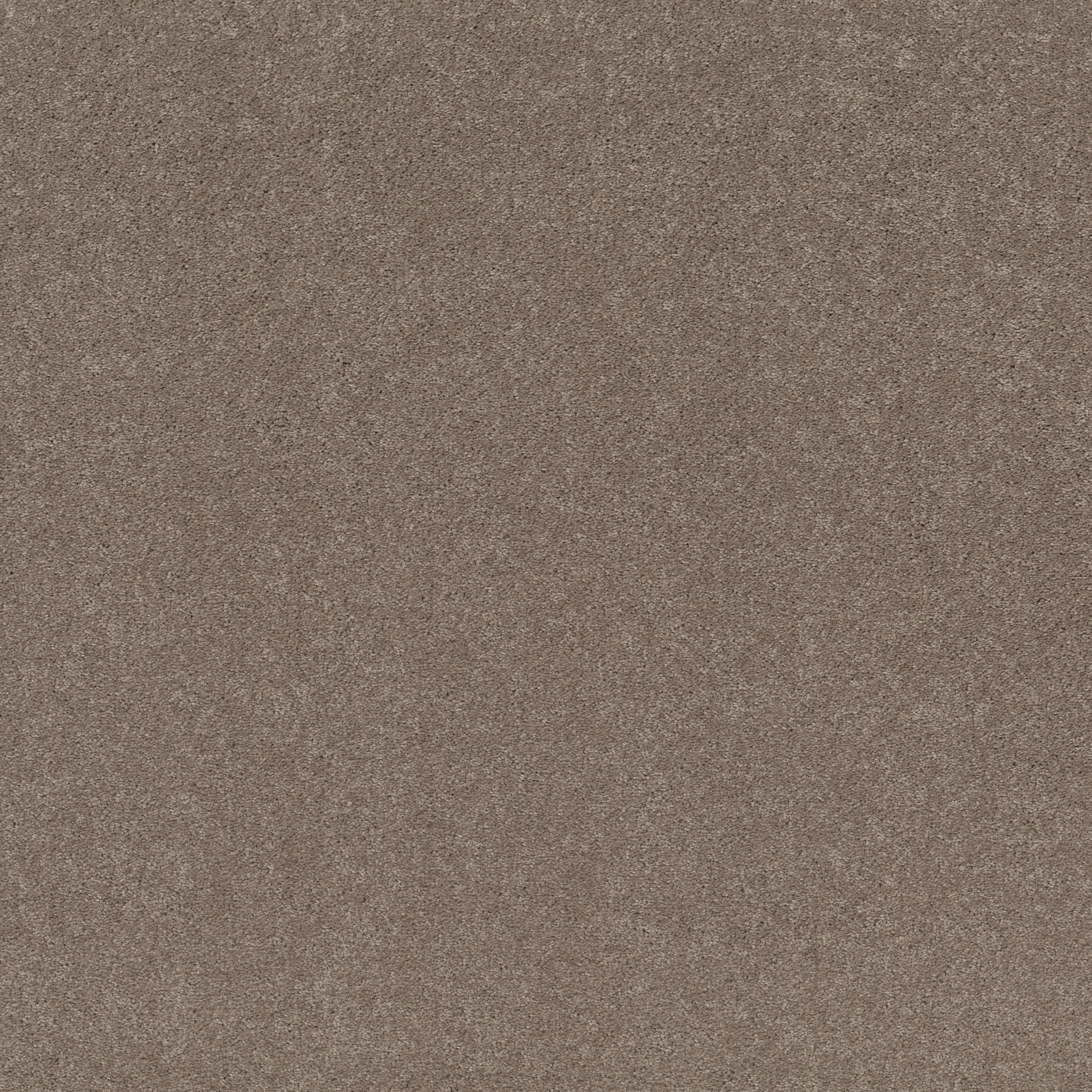 DESIGNER'S CHOICE MOCHA FROST MAIN