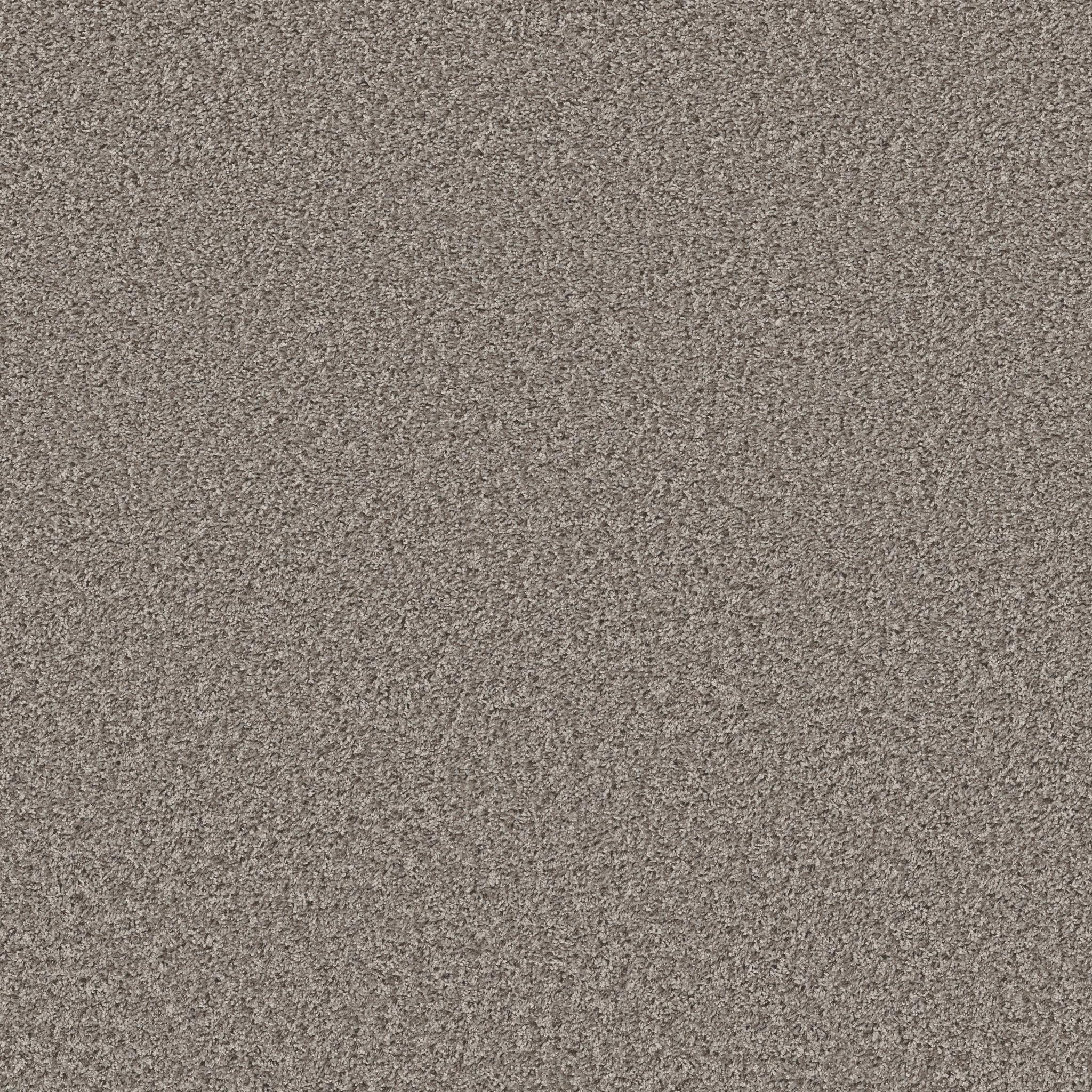Cool Flair in Dolphin
