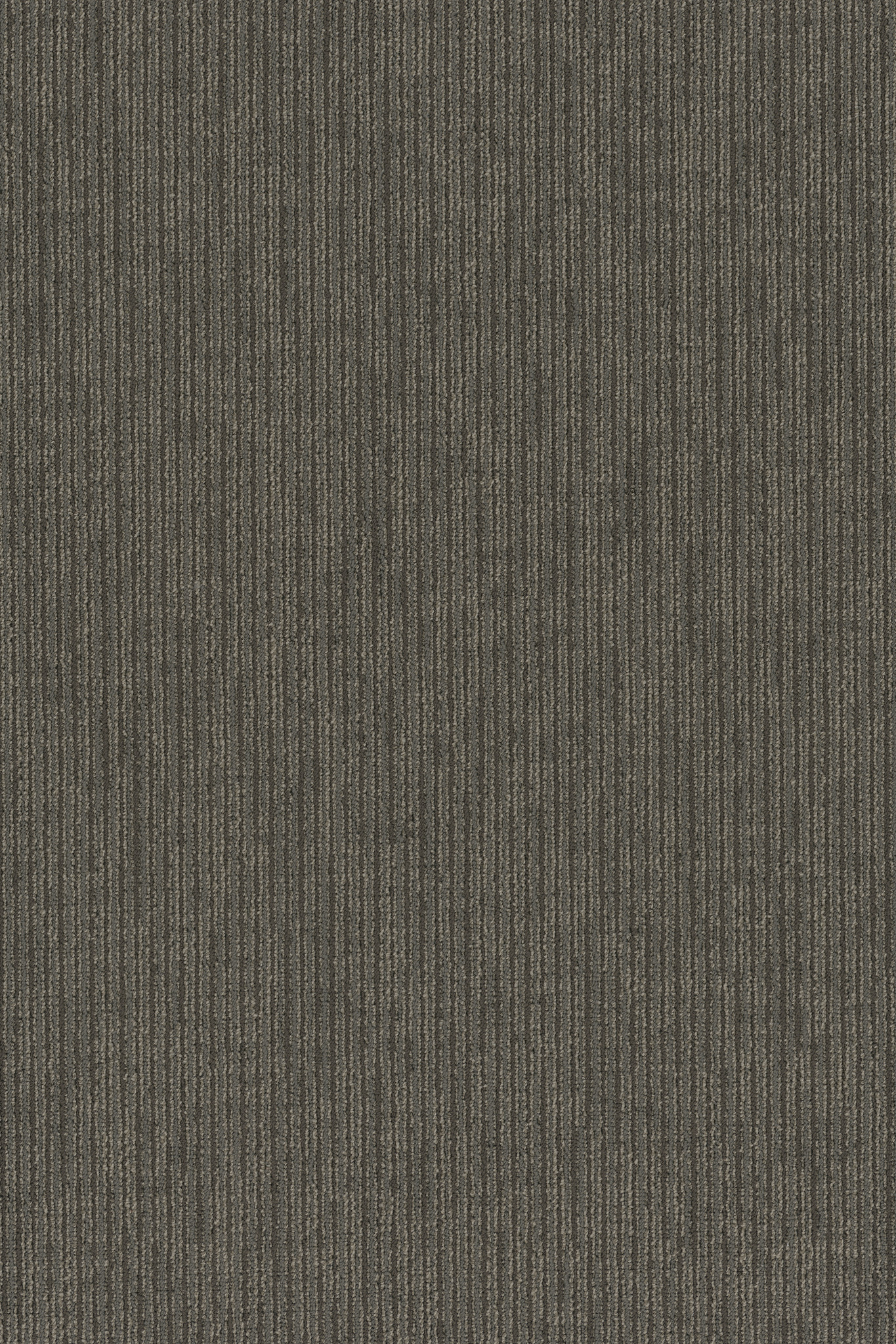 FUNCTION-54908-GO-TO-MARKET-00520-main-image