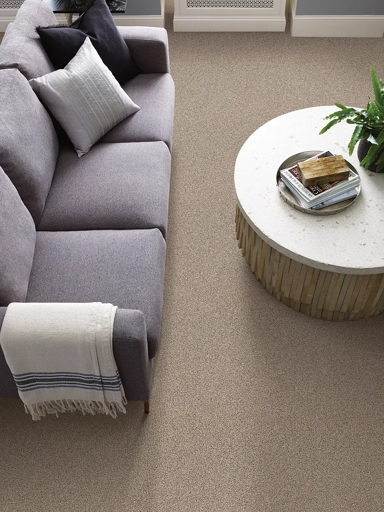 Shaw Builder SF Carpet, Enduring Tonal PZ003 Barely There 00720