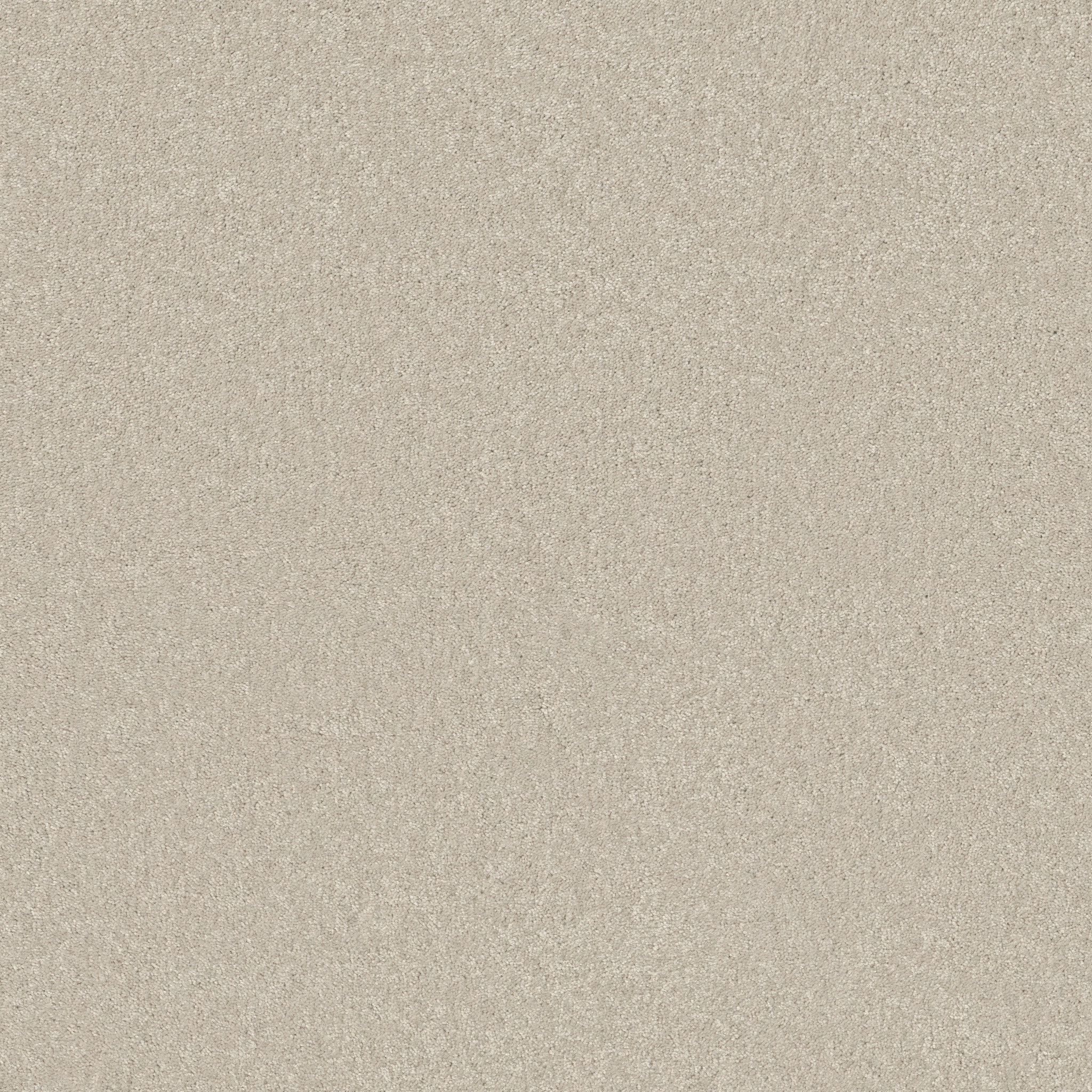 BEAUTIFULLY SIMPLE I 15&#x27; FRESCO MAIN