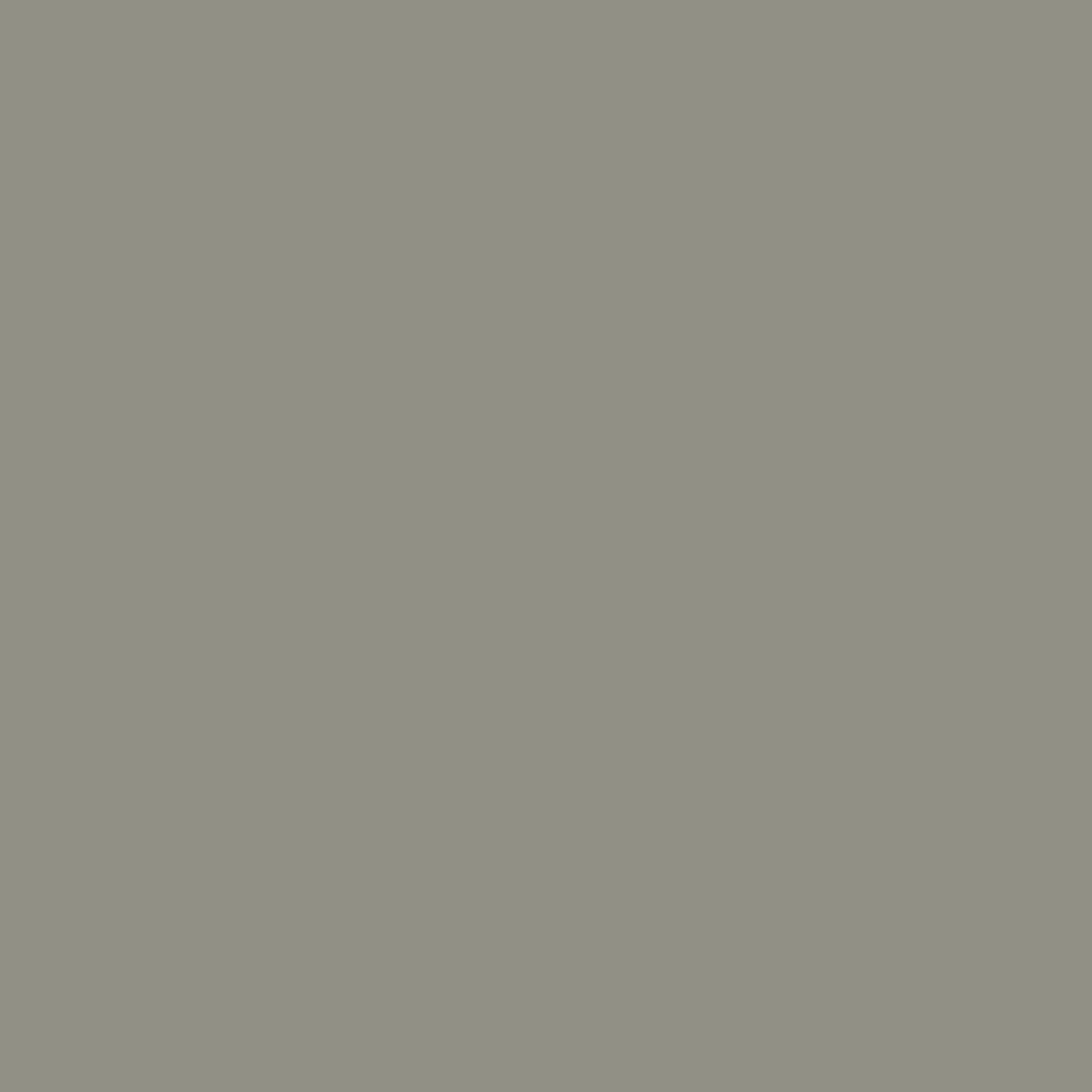 Natural Gray 00035