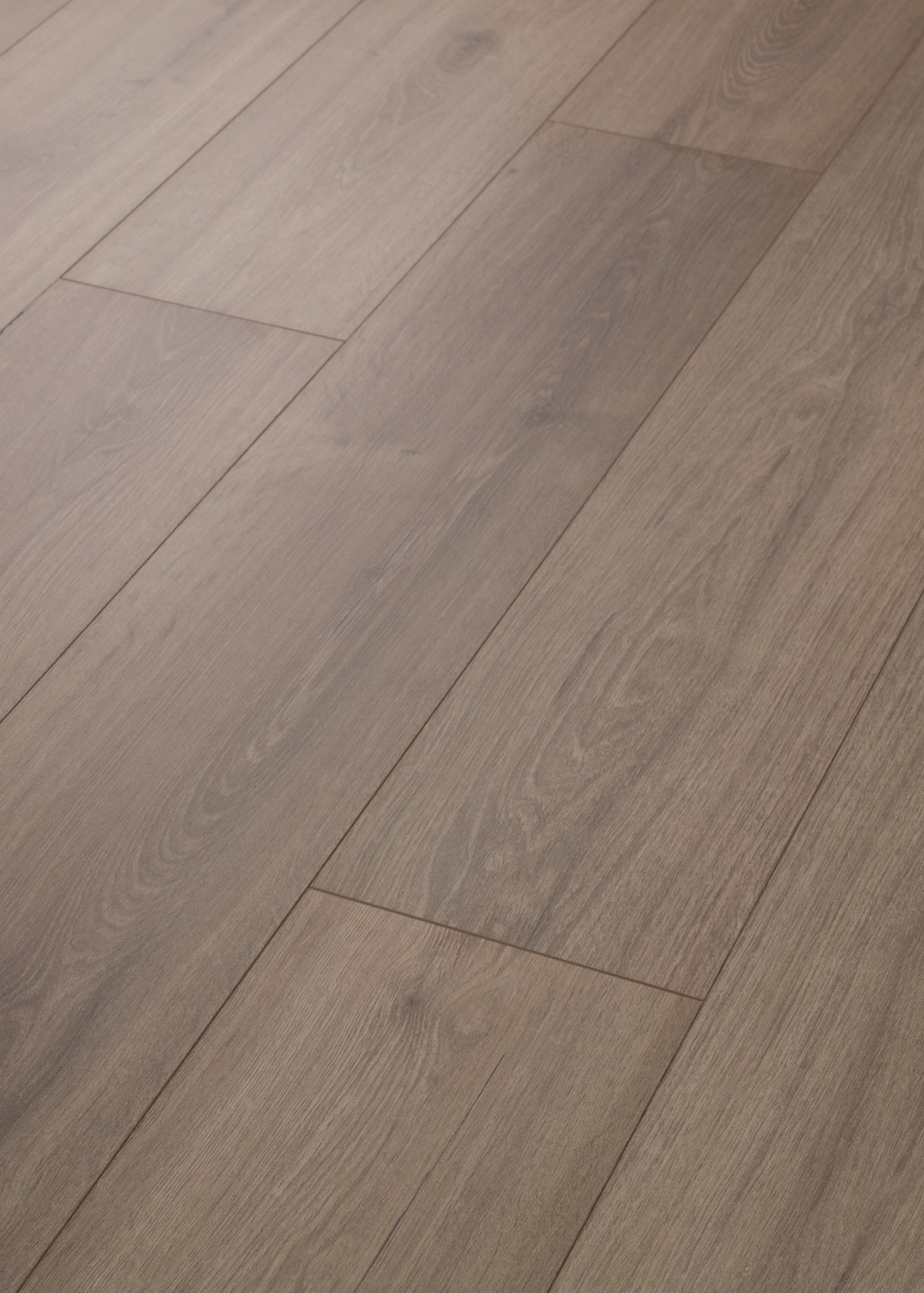 Northwood Gray swatch