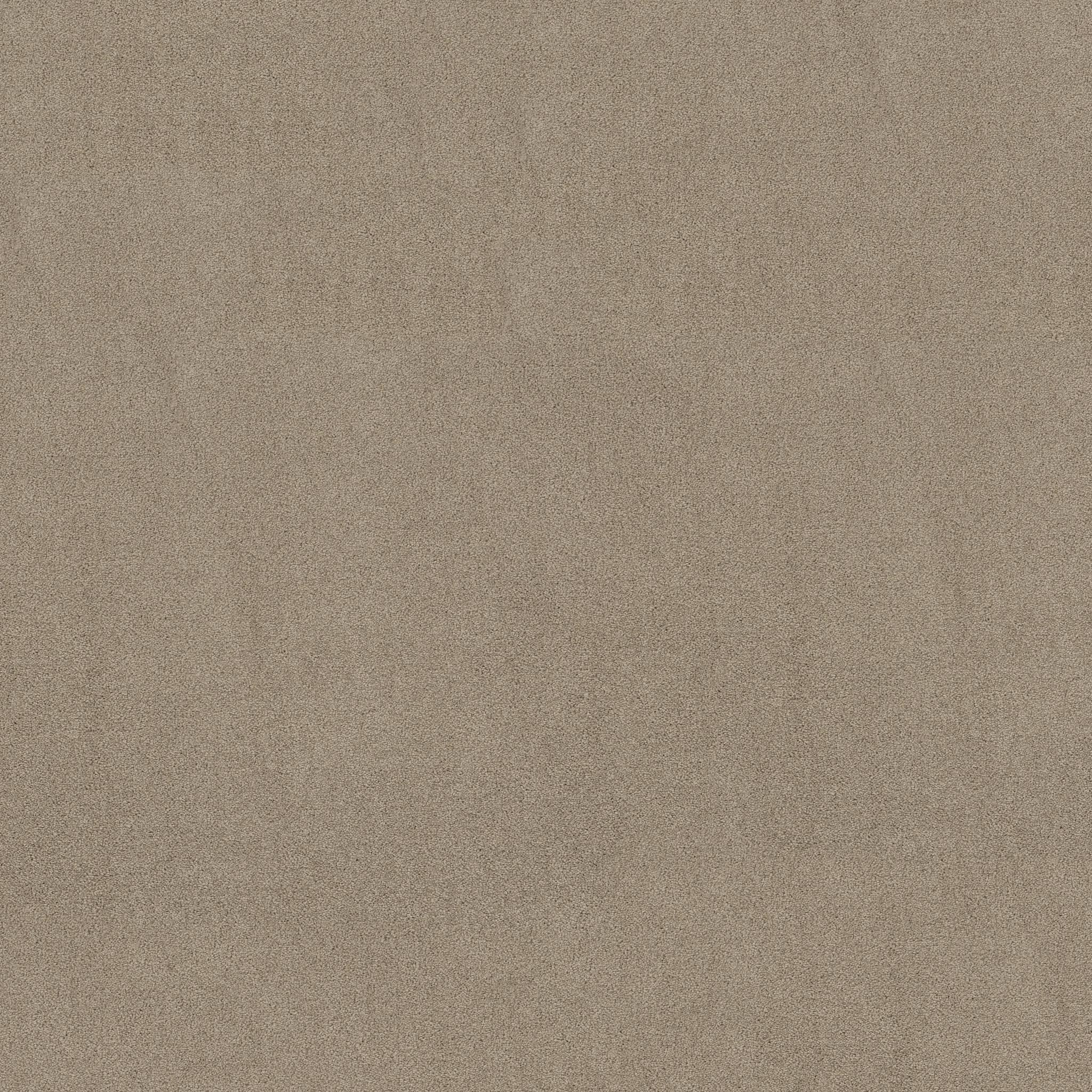 Jealousy in Smooth Taupe