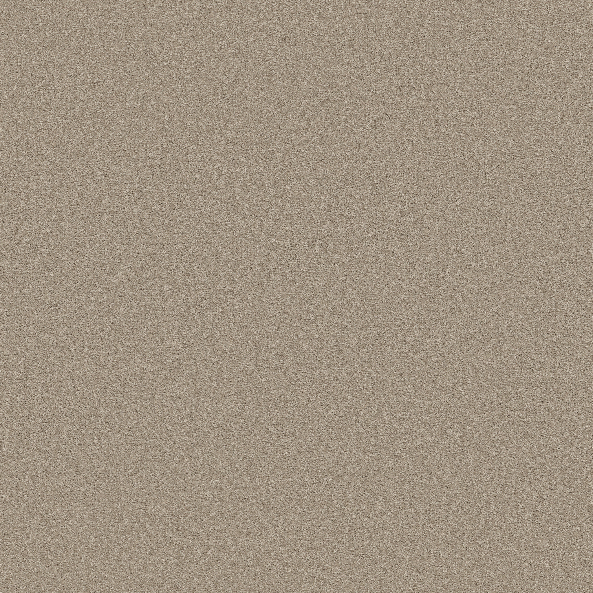 JEALOUSY SMOOTH TAUPE MAIN