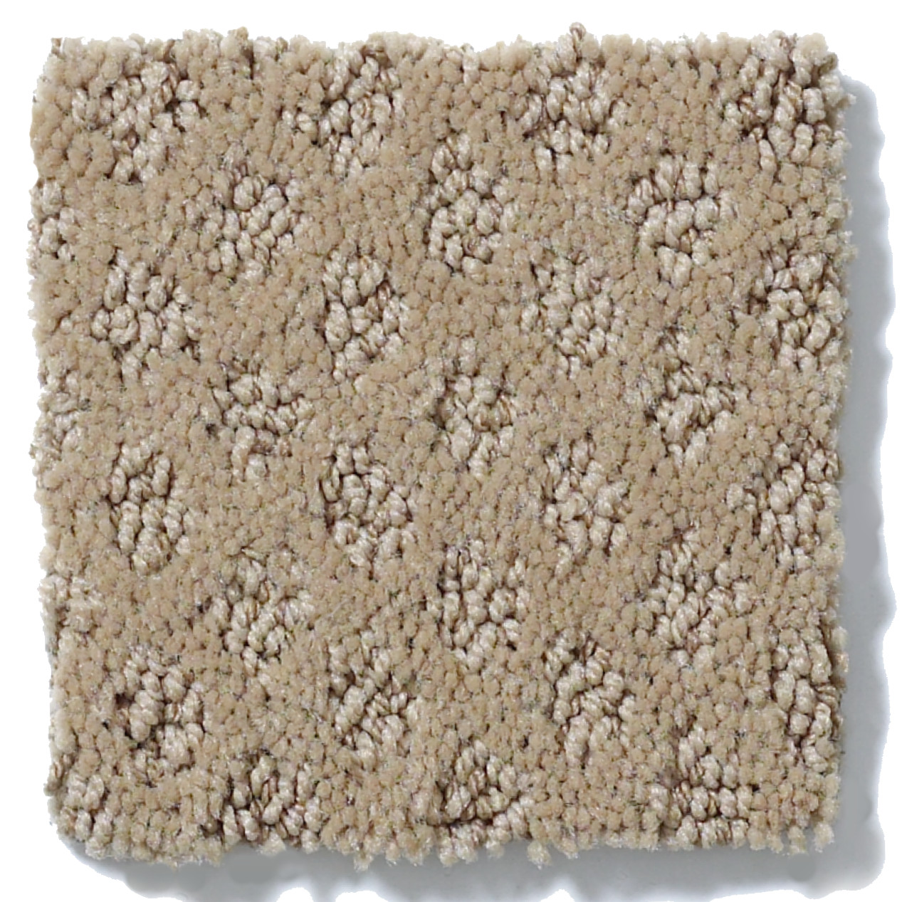 MY EXPRESSION CARNOUSTIE SWATCH