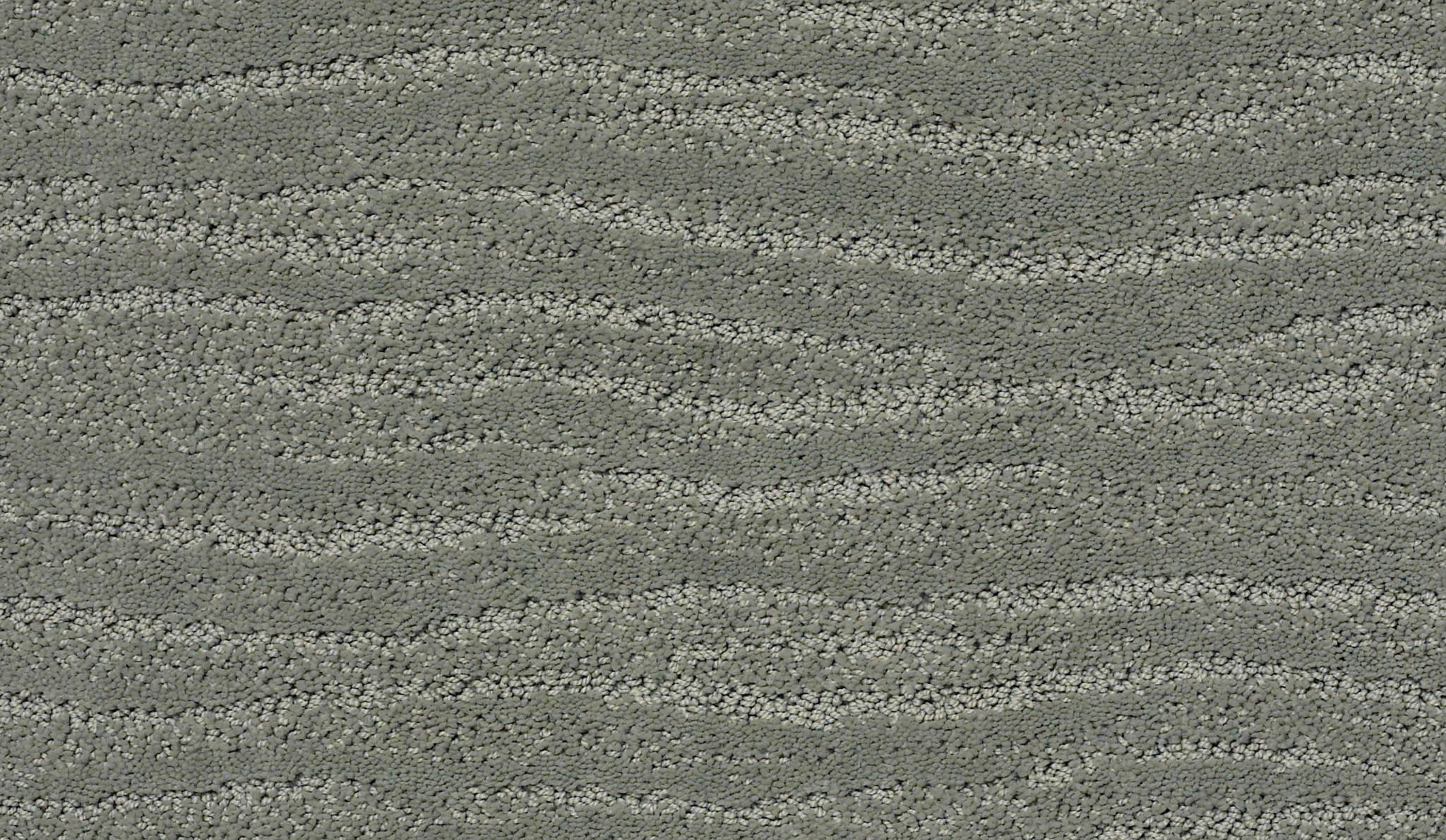 POSE PINE FOREST MAIN